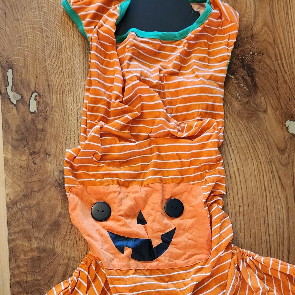 Pumpkin Pet Pajamas